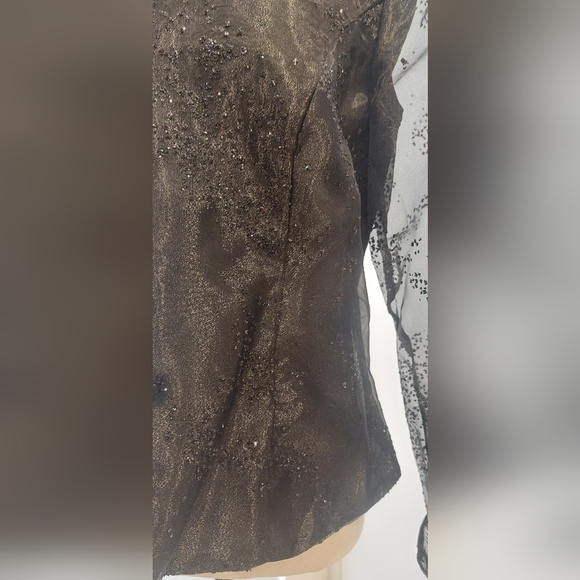 R&M Richards Elegant Black Blouse with Sheer Sleeves - Picture 4 of 12